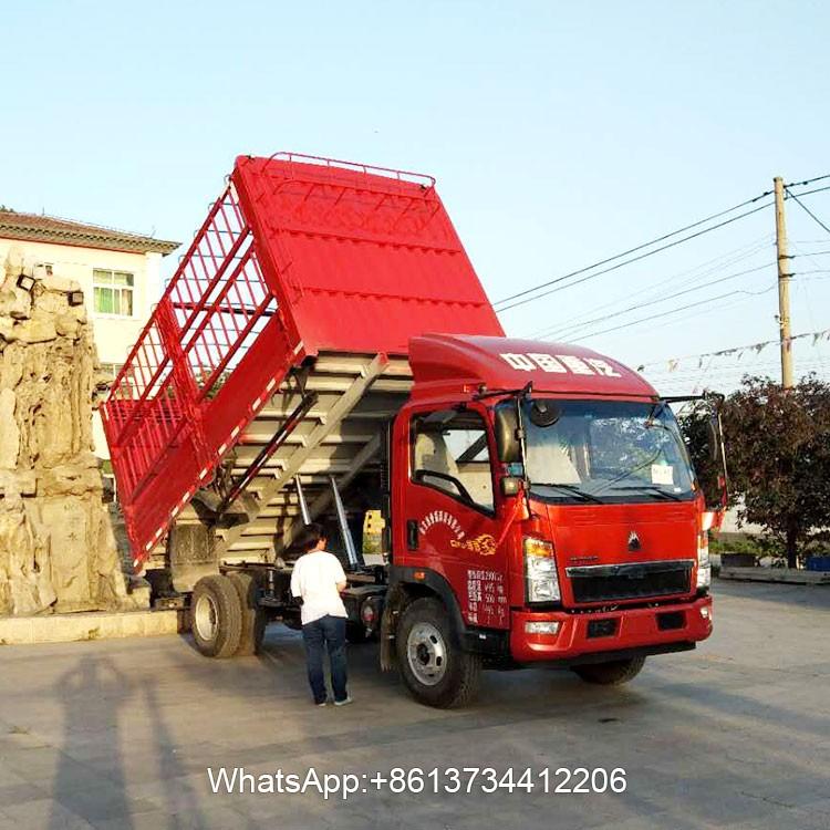 Sinotruk Light Duty Cargo Howo 4x2 Pickup Lorry Truck